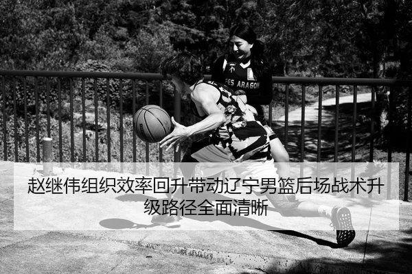 赵继伟组织效率回升带动辽宁男篮后场战术升级路径全面清晰